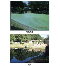 Vijver-waterbehandeling-Pond-zinger-2-ART_2